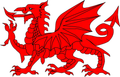 Welsh Dragon NESSA Gavin & Stacey Tattoo Great for Fancy Dress.  Printed in UK