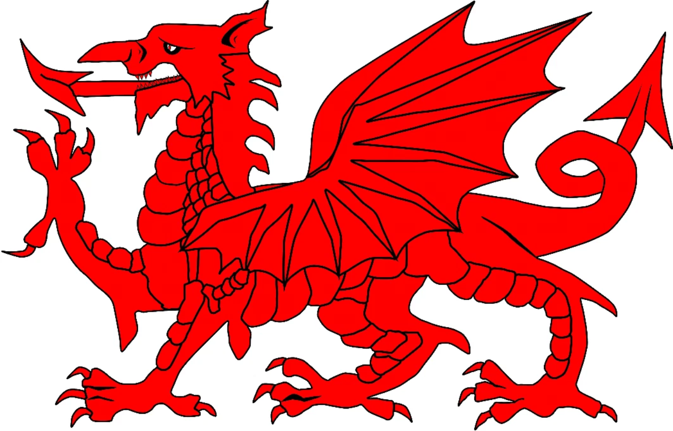 Welsh Dragon NESSA Gavin & Stacey Tattoo Great for Fancy Dress.  Printed in UK