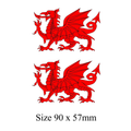 Welsh Dragon NESSA Gavin & Stacey Fancy Dress Tattoo Set of 2. Printed in UK